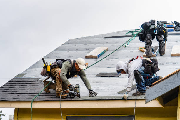 Professional Gutter Installation technician working in Westerlo, NY